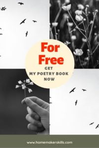Poetry Book by Alexandra Vasiliu