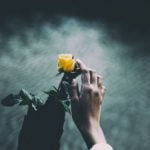 The Flower Of Hope