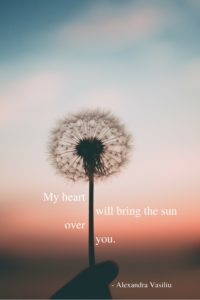 Hope Poem Alexandra Vasiliu