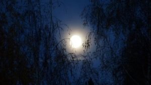 Moon Inspiring Love Poem by Alexandra Vasiliu, Author of BLOOMING