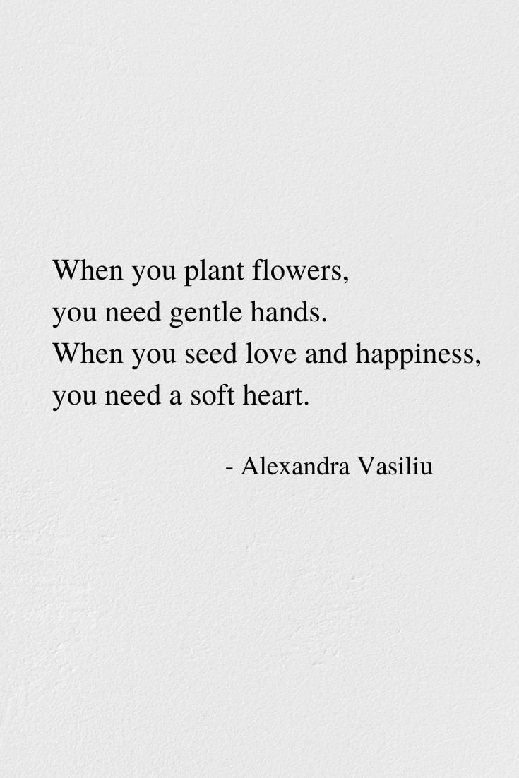 When You Seed Love - Inspiring Poem by Alexandra Vasiliu, Author of BLOOMING and HEALING WORDS