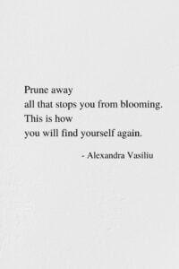 You Will Find Yourself Again - Poem by Alexandra Vasiliu, Author of BLOOMING and Healing Words