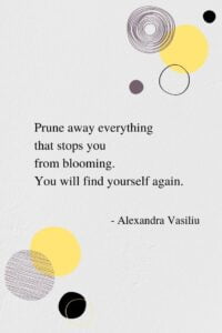 You Will Find Yourself Again - An Inspiring Poem by Alexandra Vasiliu, Author of BLOOMING, BE MY MOON, and HEALING WORDS