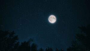 If I Were Your Moon - Love Poem by Alexandra Vasiliu, Author of BE MY MOON, HEALING WORDS, and BE MY MOON